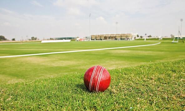 photograph of cricket ball on grass